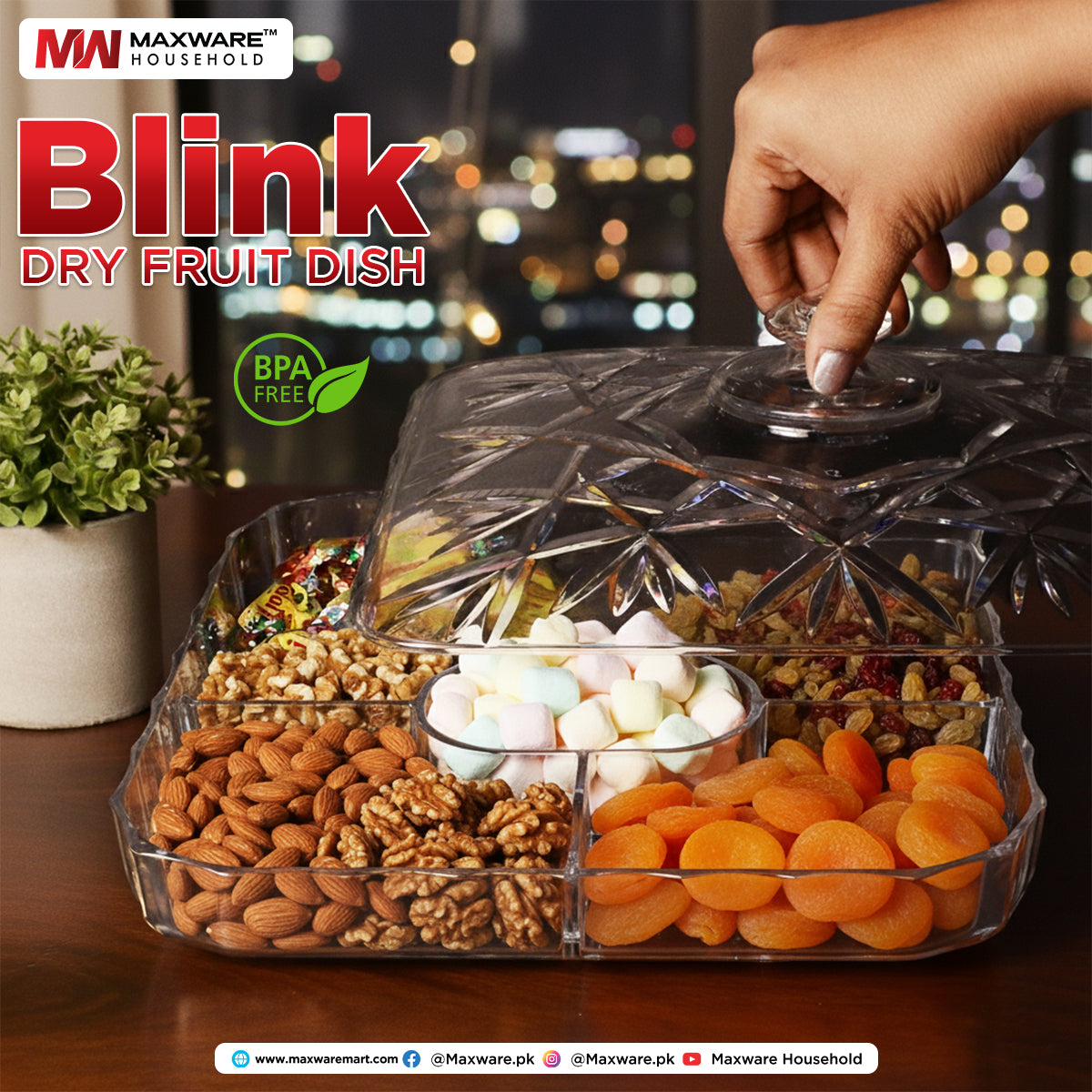 Blink Dry Fruit Dish