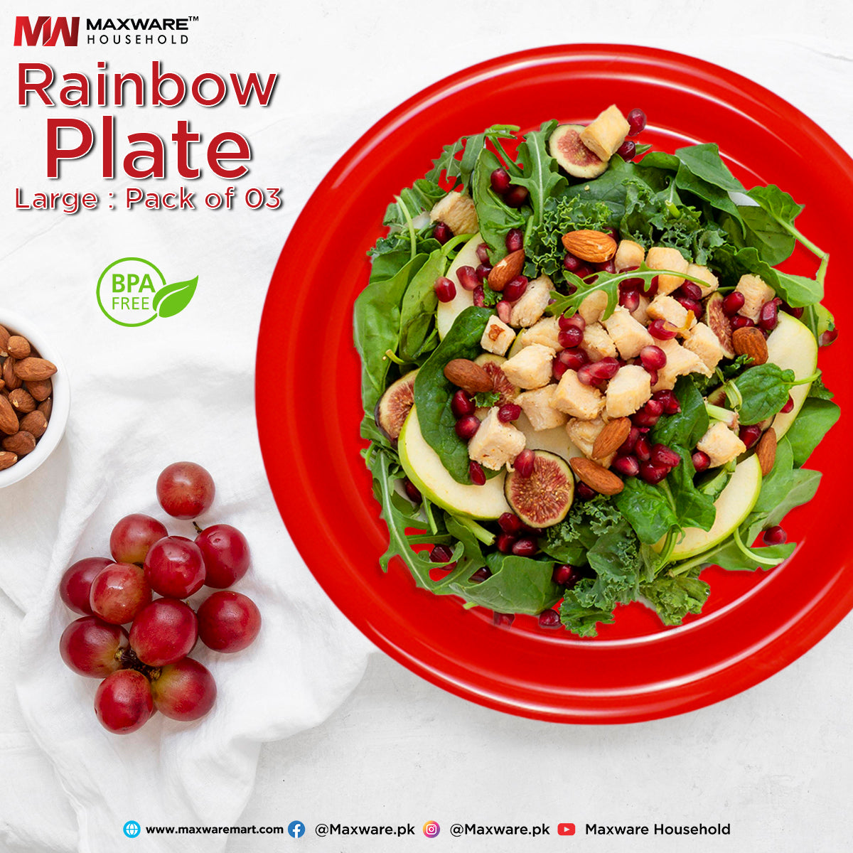 Rainbow Plate Large Pack of 3
