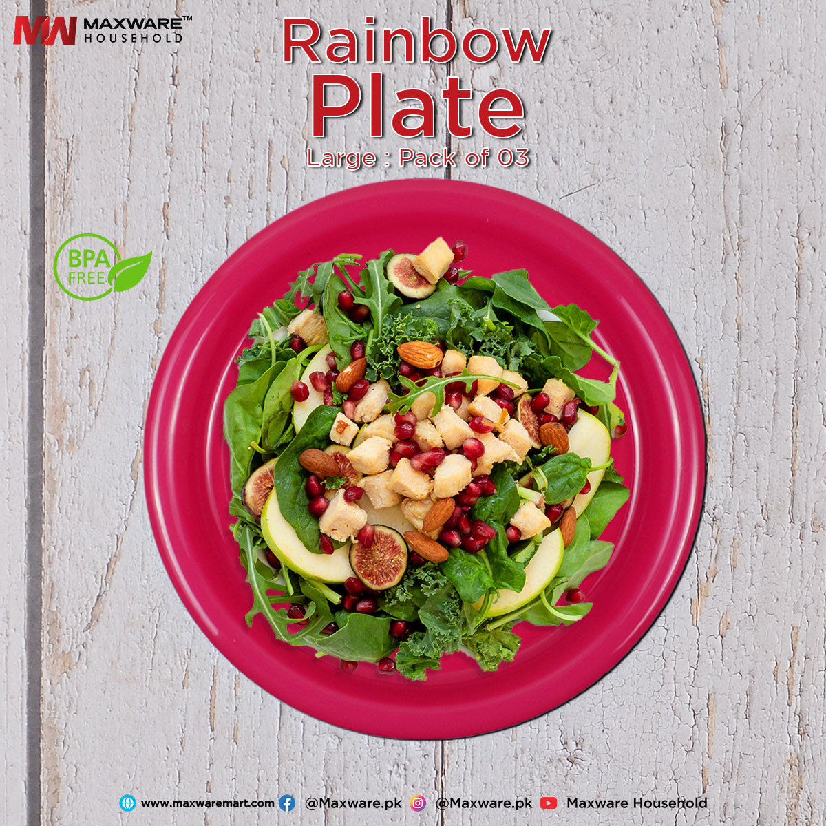 Rainbow Plate Large Pack of 3