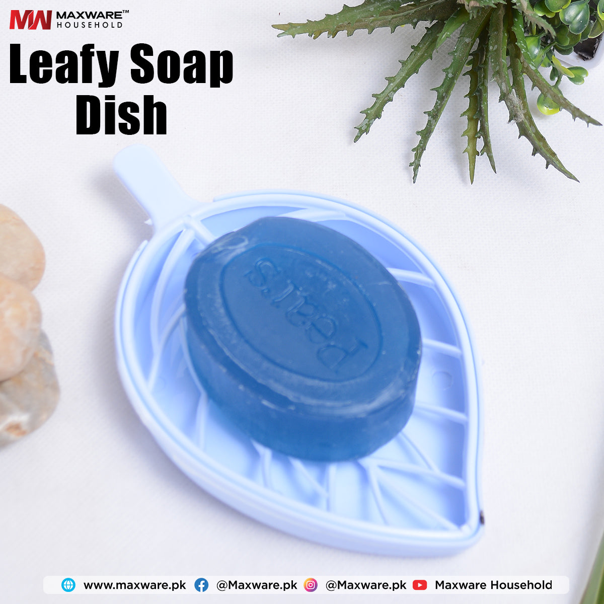 Leafy Soap Dish - Maxwaremart
